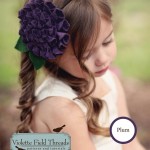 November Sponsor Giveaway!
