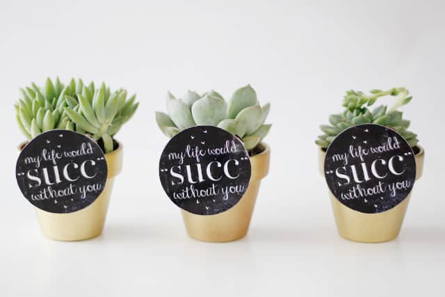 MY LIFE WOULD SUCK WITHOUT YOU - succulent valentine idea with free printable seekatesew.com