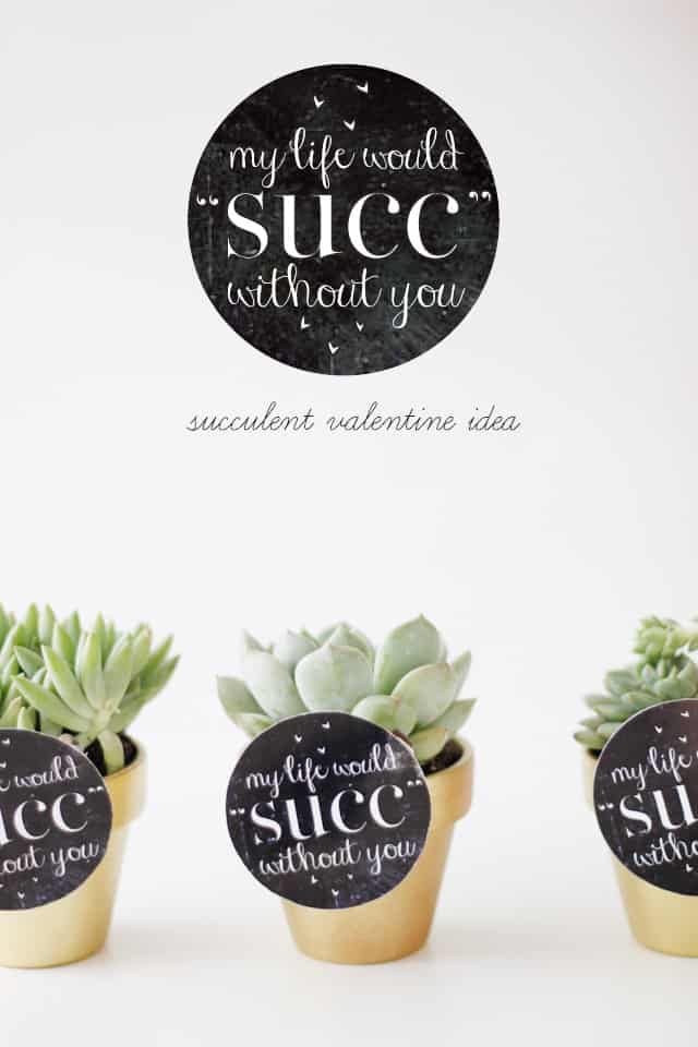 MY LIFE WOULD SUCK WITHOUT YOU - succulent valentine idea with free printable seekatesew.com