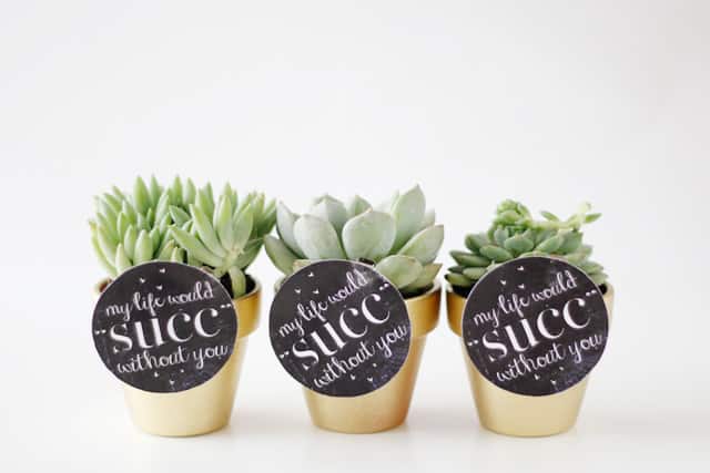 MY LIFE WOULD SUCK WITHOUT YOU - succulent valentine idea with free printable seekatesew.com