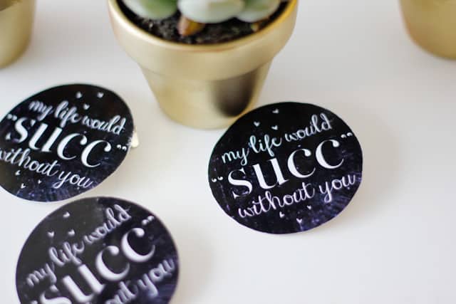 MY LIFE WOULD SUCK WITHOUT YOU - succulent valentine idea with free printable seekatesew.com