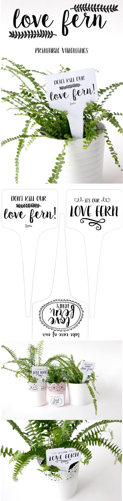 Free Printable LOVE FERN Valentines | See Kate Sew