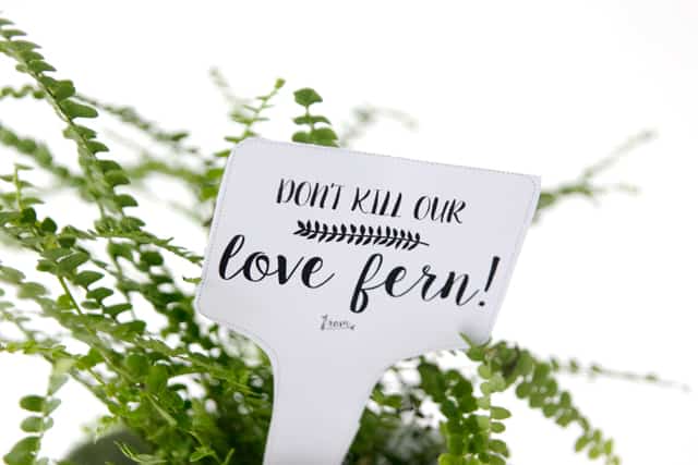 LOVE FERN Valentines | See Kate Sew