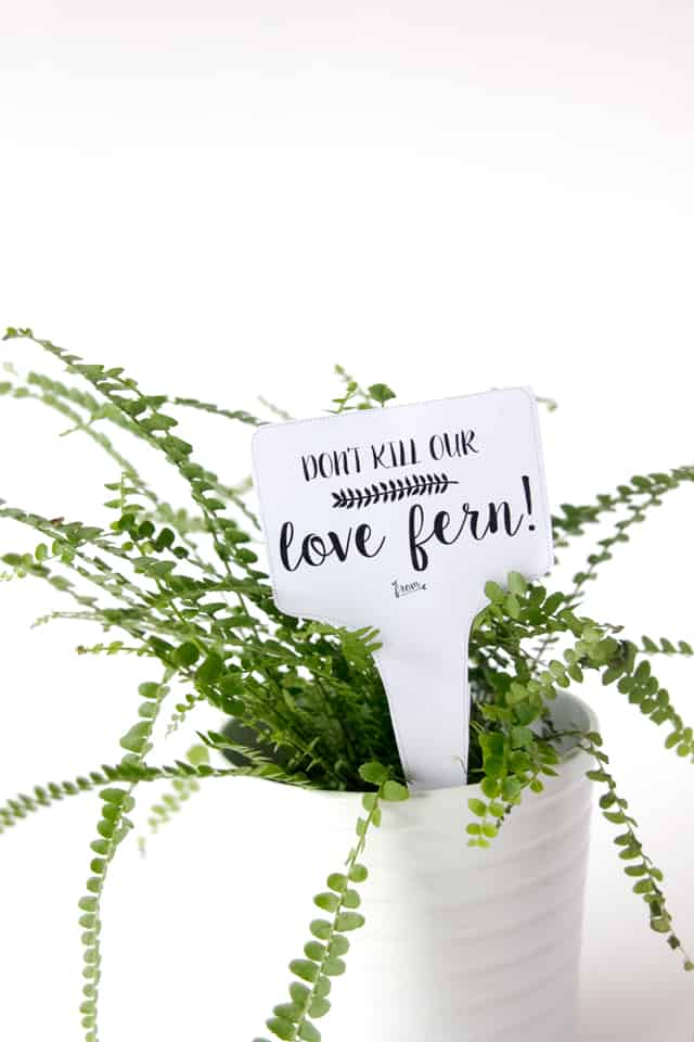 LOVE FERN Valentines | fun Valentines for kids | diy Valentines | homemade Valentines | free valentine printable || See Kate Sew #valentineprintables #diyvalentines #valentinesday