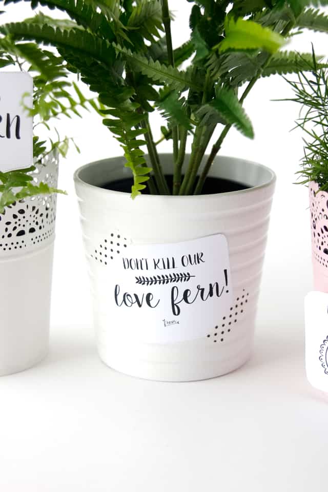 LOVE FERN Valentines | fun Valentines for kids | diy Valentines | homemade Valentines | free valentine printable || See Kate Sew #valentineprintables #diyvalentines #valentinesday