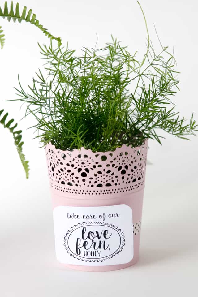 LOVE FERN Valentines | fun Valentines for kids | diy Valentines | homemade Valentines | free valentine printable || See Kate Sew #valentineprintables #diyvalentines #valentinesday