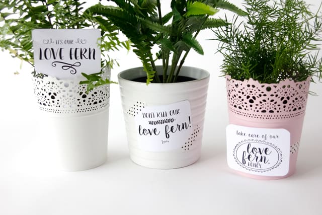 LOVE FERN Valentines | See Kate Sew