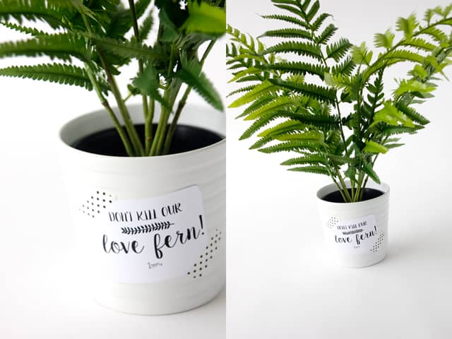 LOVE FERN Valentines | See Kate Sew