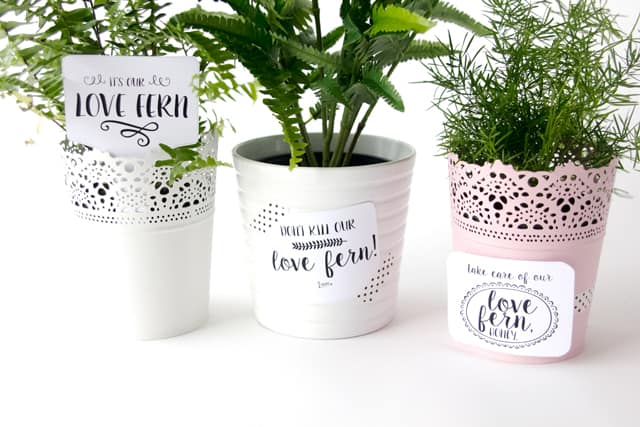 LOVE FERN Valentines | See Kate Sew