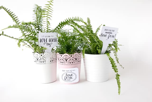 LOVE FERN Valentines | See Kate Sew