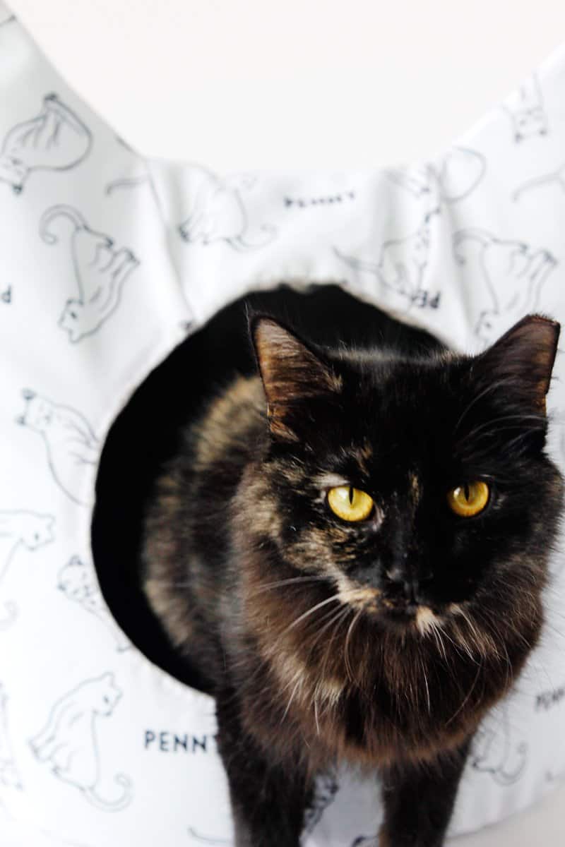 DIY Cat Bed with Free Sewing Pattern | free cat bed sewing pattern | how to make a cat bed | diy cat bed | homemade cat bed || See Kate Sew #diycatbed #sewingpattern #catbed