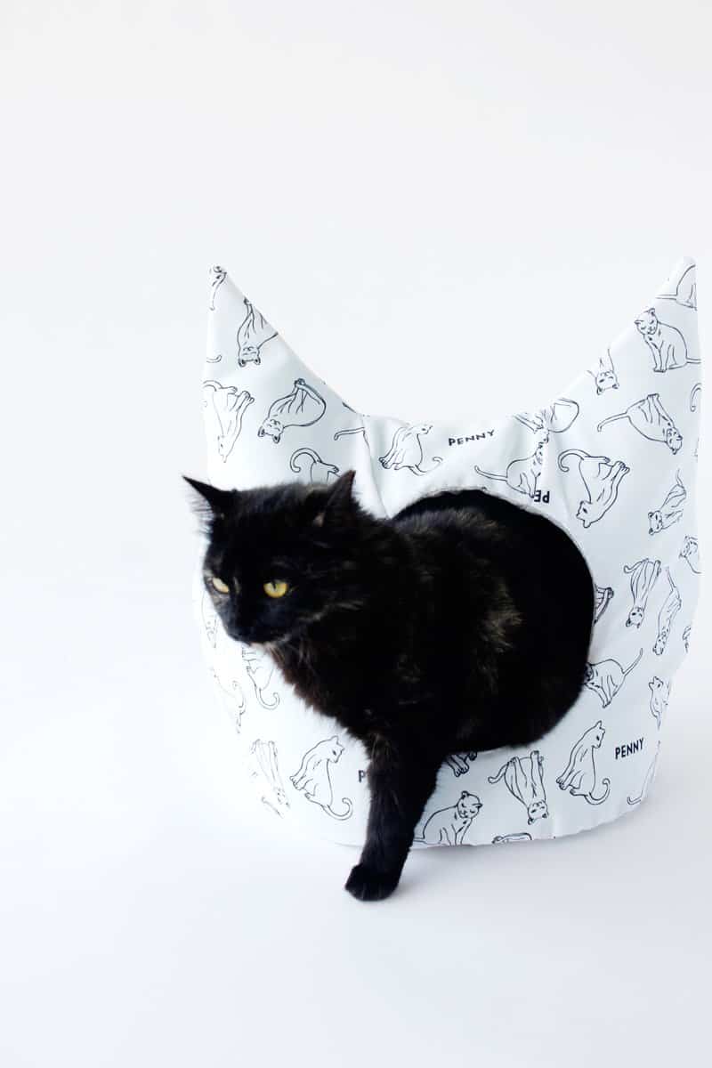 Cat cushion outlet pattern