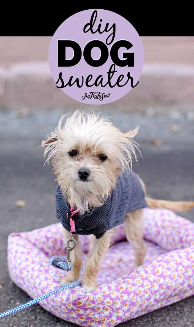 DIY Dog Sweater Pattern | homemade dog sweater | dog sweater diy | how to sew a dog sweater | dog sweater pattern | dog sweater template | easy sewing tutorials | sewing projects || See Kate Sew #dogsweater #diydogclothes #sewingproject 