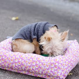 DIY dog sweater in 3 sizes!