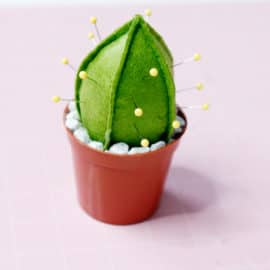 Cactus Pincushion Tutorial + Pattern