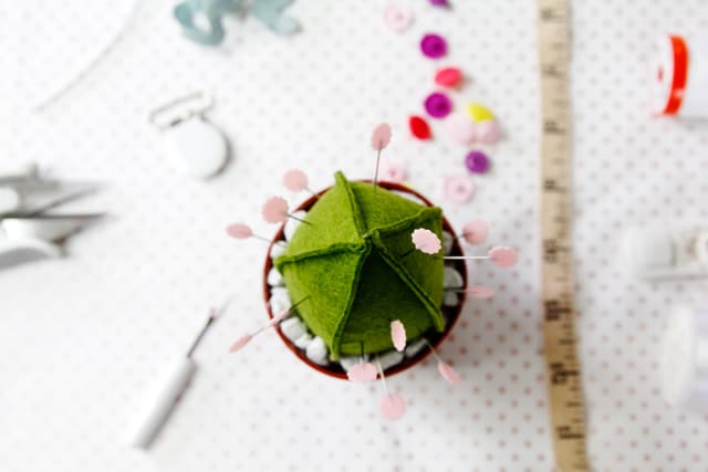 Cactus Pin Cushion Pattern