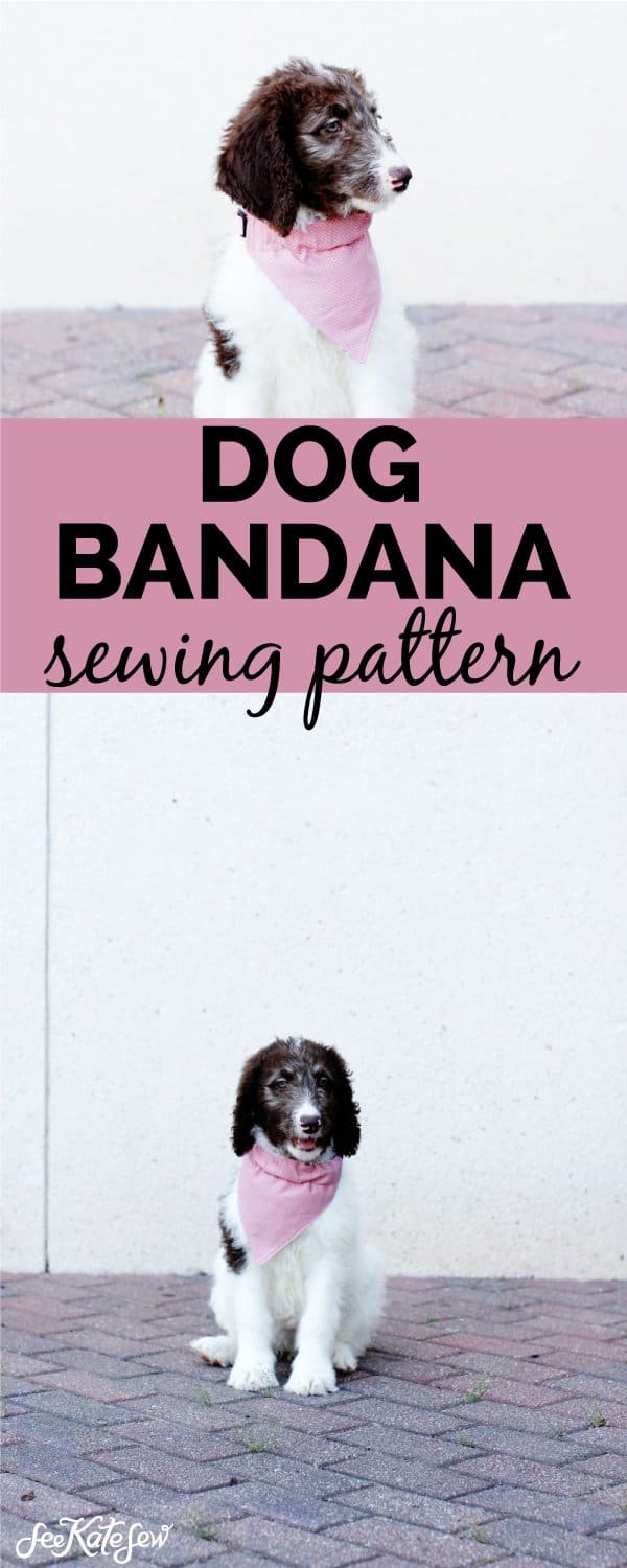 Sew a fabric bandana for dog