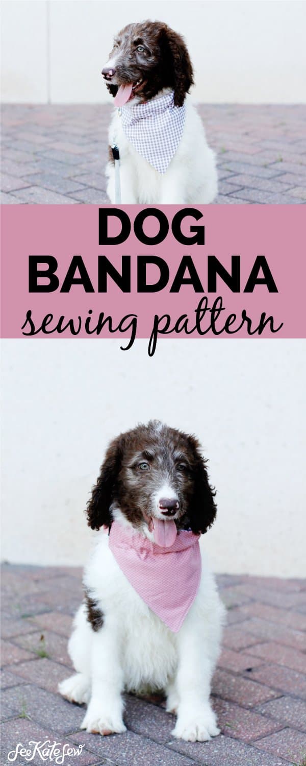 Make a puppy bandana