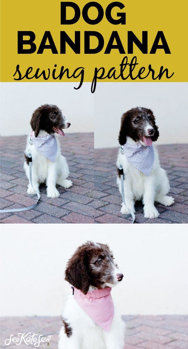 how to make a dog collar free sewing pattern! - see kate sew