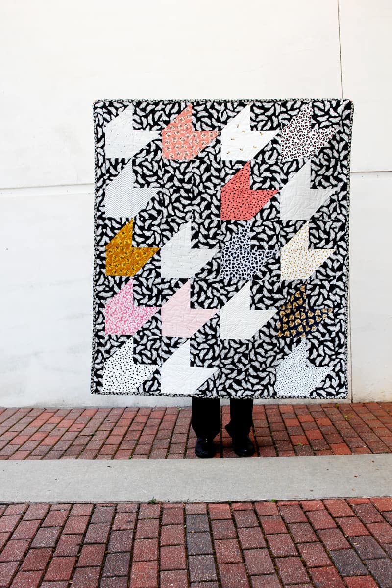 Spotted Fabric Riley Blake Designs | Quilt Pattern