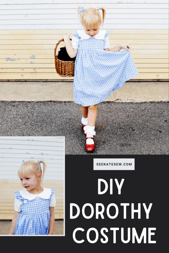 Dorothy Costume