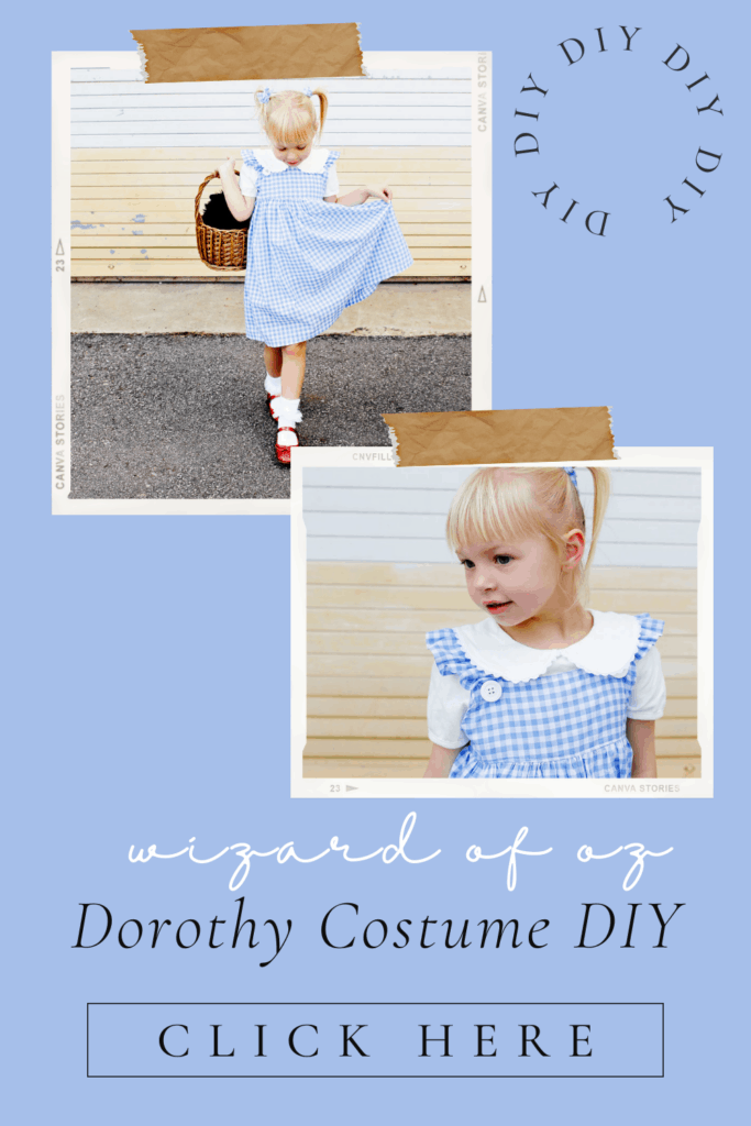 Dorothy Wizard of Oz Costume