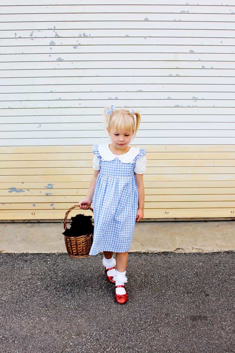 Dorothy Wizard of Oz Costume