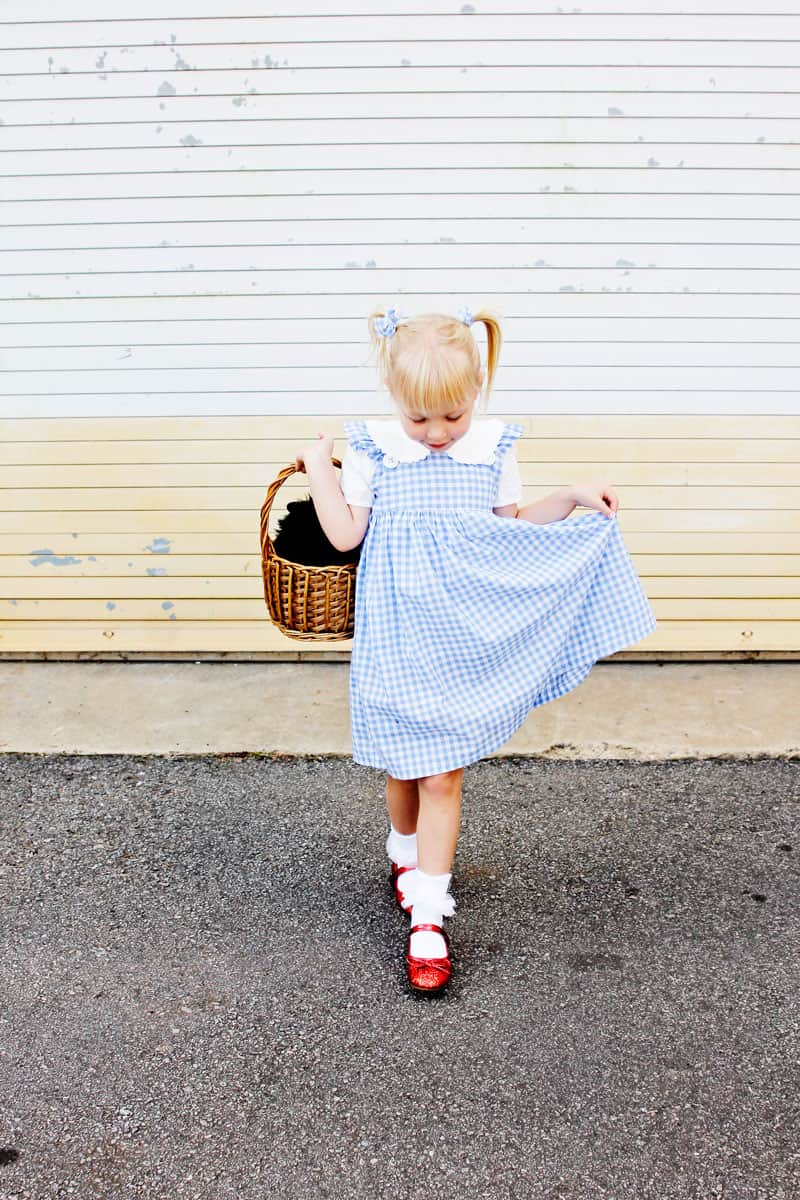 Dorothy Wizard of Oz Costume