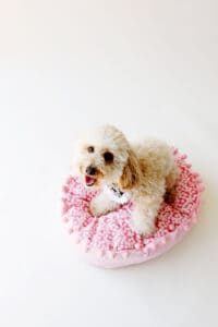 DIY Dog Bed Pattern Small to Large - see kate sew