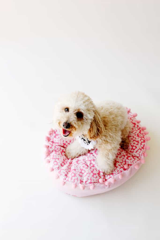 Dog Bed Pattern Sewing Tutorial