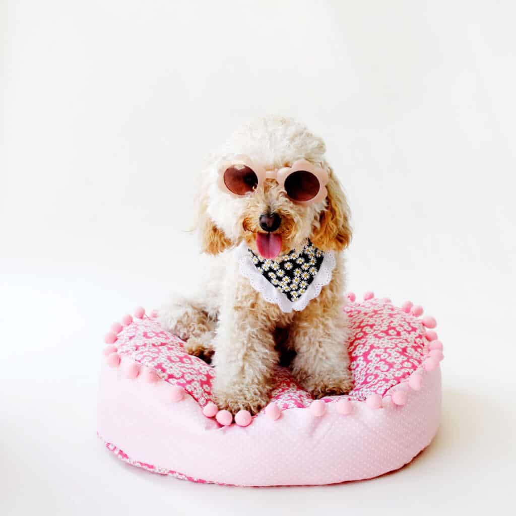 Dog Bed Pattern Sewing Tutorial