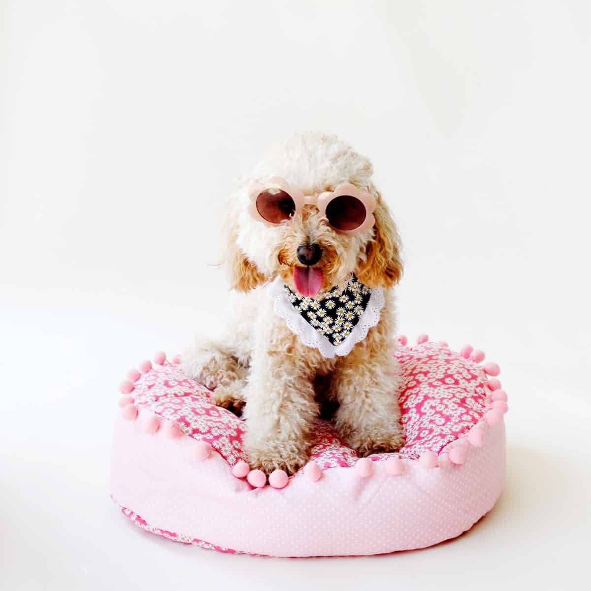 Diy donut dog clearance bed