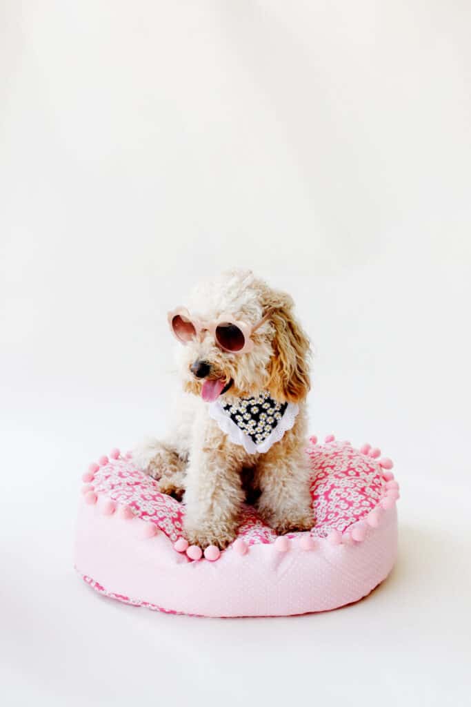 Princess dog bed diy best sale