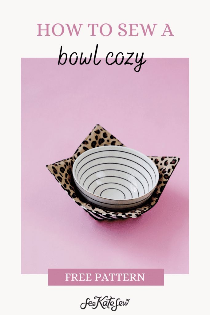 Soup Bowl Cozy