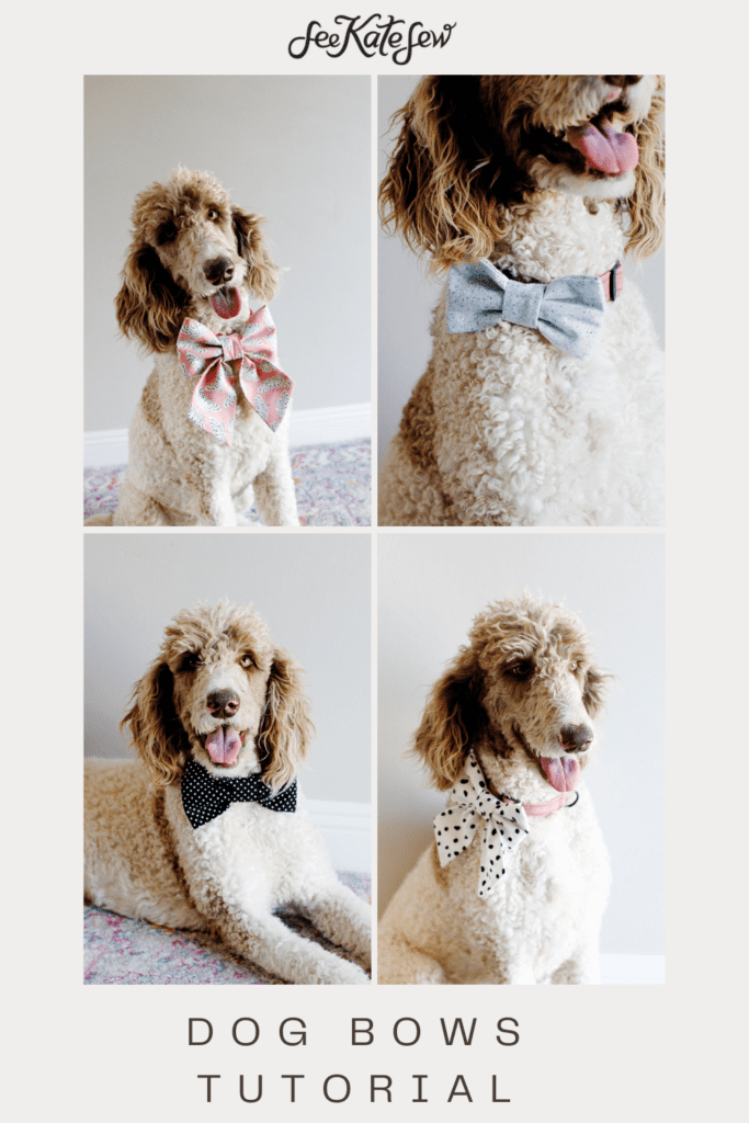 Bow Ties for Dogs Pattern