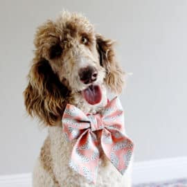 Dog Bow Sewing Tutorial