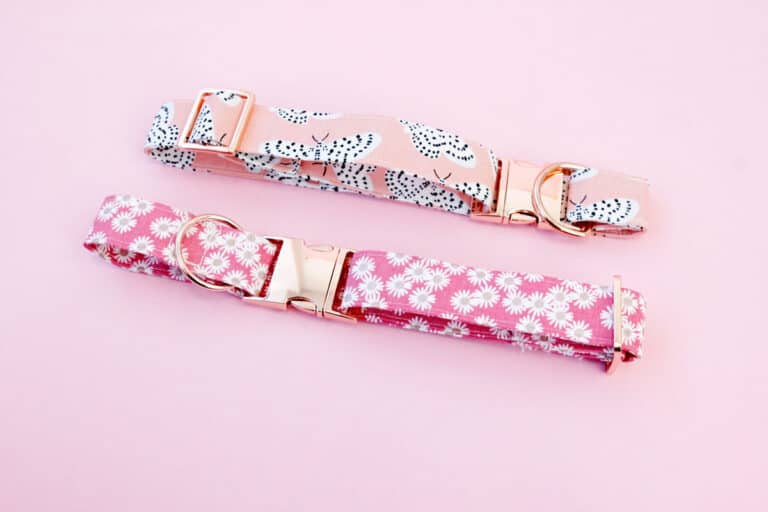 how to make a dog collar free sewing pattern! see kate sew