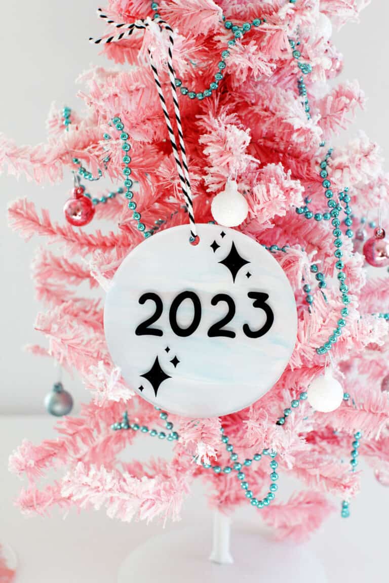 Acrylic Disc Ornaments - DIY Eras Tour Commemorative Ornament - see ...