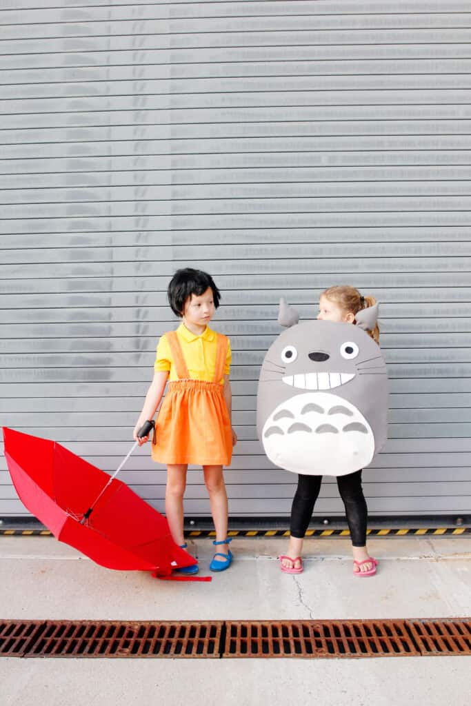 Totoro costume deals