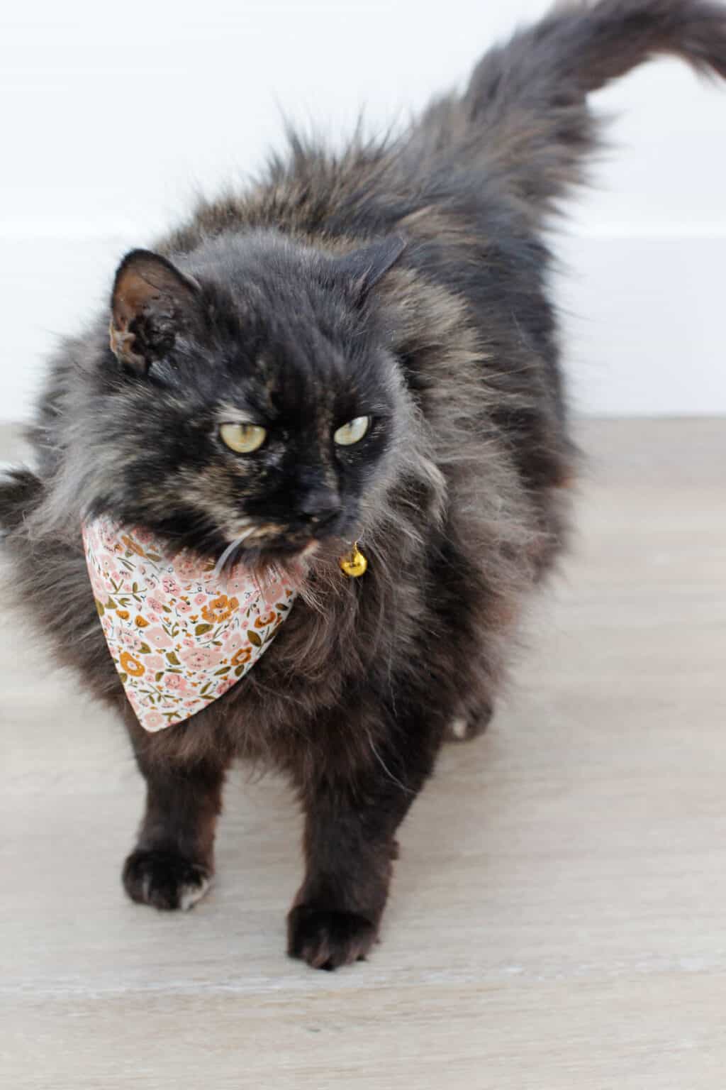 Cat Bandana Sewing Pattern - see kate sew